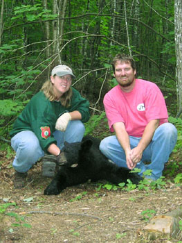 Bear_Season_2003a