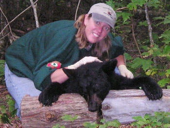 Bear_Season_2003cc