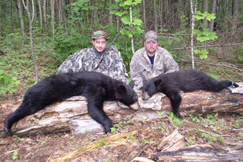 Bear_Season_2003i