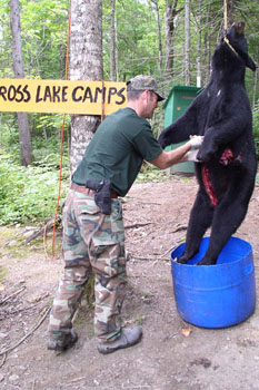 Bear_Season_2003k