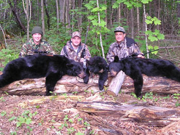 big3bears