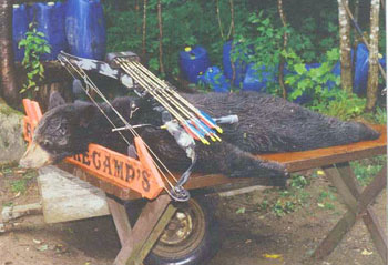 hunting_bear3