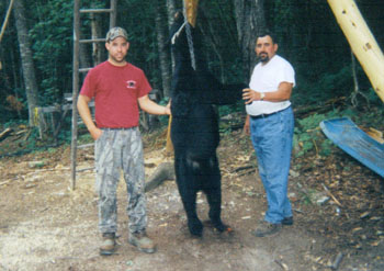 hunting_bear5