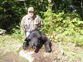 bear-2