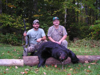 maine-bear2
