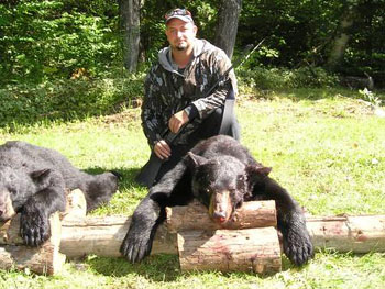 maine-bear6