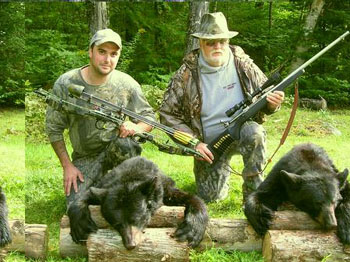 maine-bear8