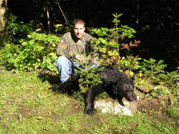 maine-bear9