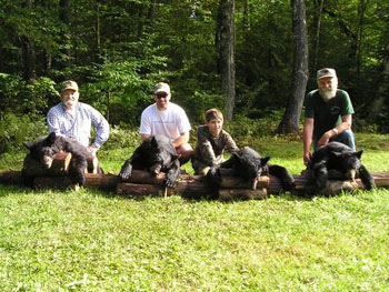 mainebearhunt10