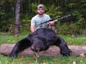 maine-bear1