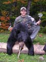 maine-bear3