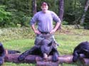 maine-bear7