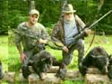 maine-bear8