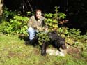 maine-bear9