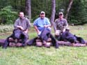 ross-lake-bear2