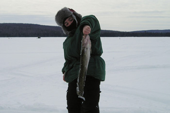 icefish