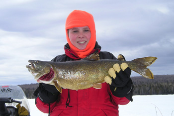 laketrout