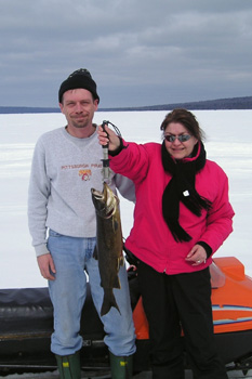 northmaine