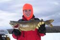 laketrout