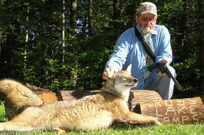 foxy