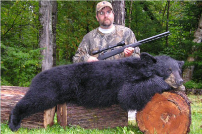 single-bear