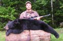 bear_season
