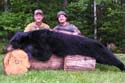 giant_blackbear