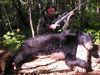 maine_bear_2