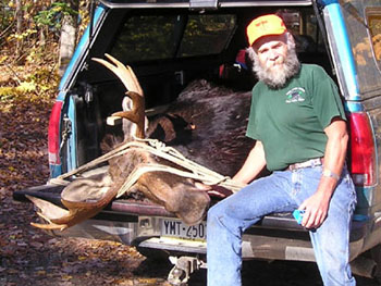 maine_moose1