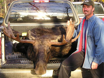 maine_moose7