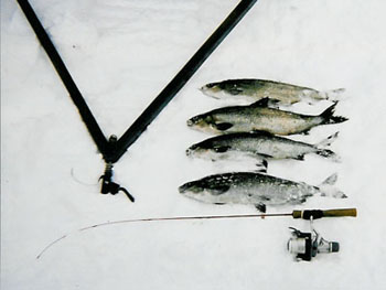 icefishing12