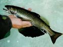 icefishing4