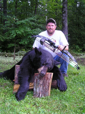 bow_bear