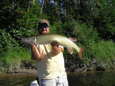 don_muskie
