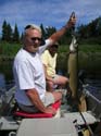 muskie