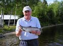whitefish