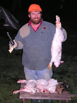 MaineRabbit