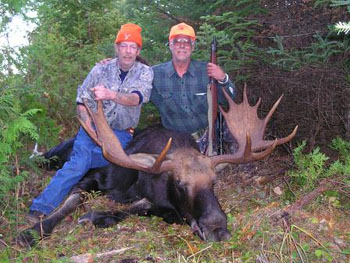 big-moose