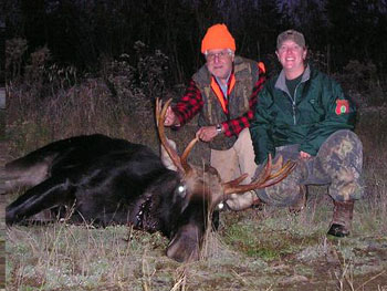moose-1