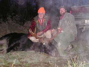 moose-2