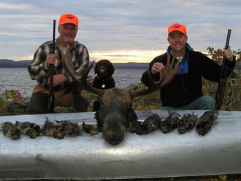 moose-grouse