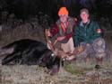 moose-1