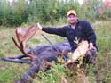 trophy moose maine