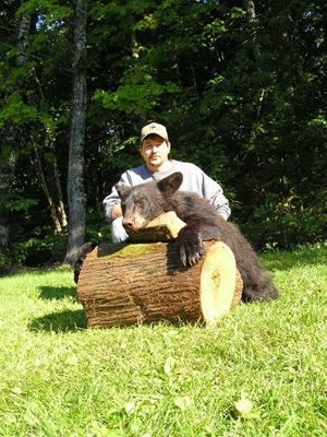 big_bear