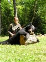 bigbears