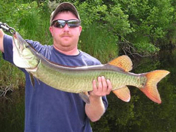 muskie_muskie