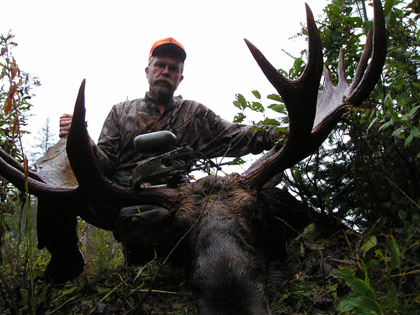 giant-moose