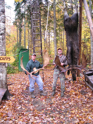 large-moose-rack