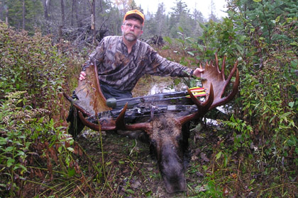 maine-moose