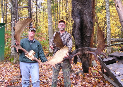 moose_hunt